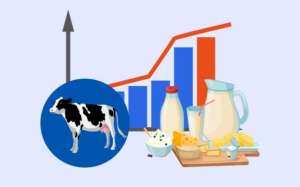 奶牛养殖现状(奶牛养殖业景气周期持续，面临饲料成本增加压力)