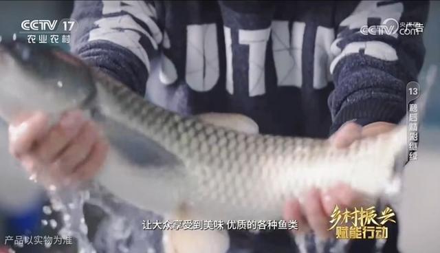 “工厂化”养鱼，养出没有腥味的好鱼丨CCTV-17公益展播
