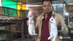 南宁兔子养殖场(横州市百合镇：兔年养兔 致富有路)