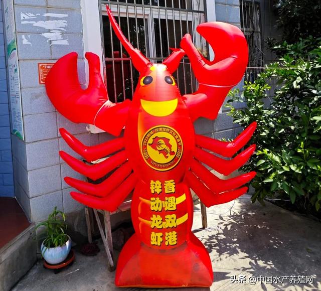 综合产值3.9亿！安徽桐城双港荣获“中国富锌小龙虾之乡”称号！
