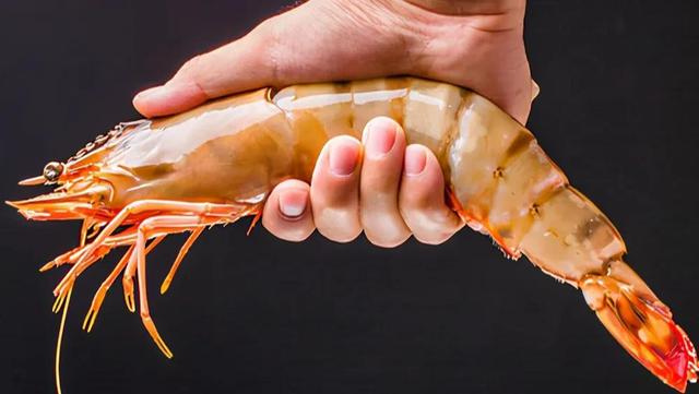 12种海虾“简单易记”的区分方法，你都吃过几种？附吃法，请收藏