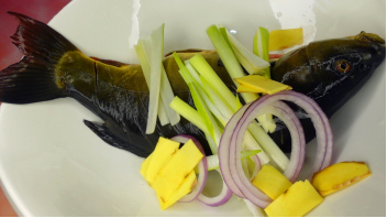 炝卤裸斑鱼：裸斑鱼是能吃肉很多的鱼，不要再用来做汤 可惜了