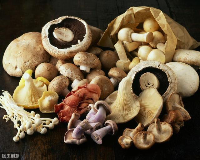 蘑菇做得好，比肉还好吃，带你了解七种常见食用菌（含烹饪方法）