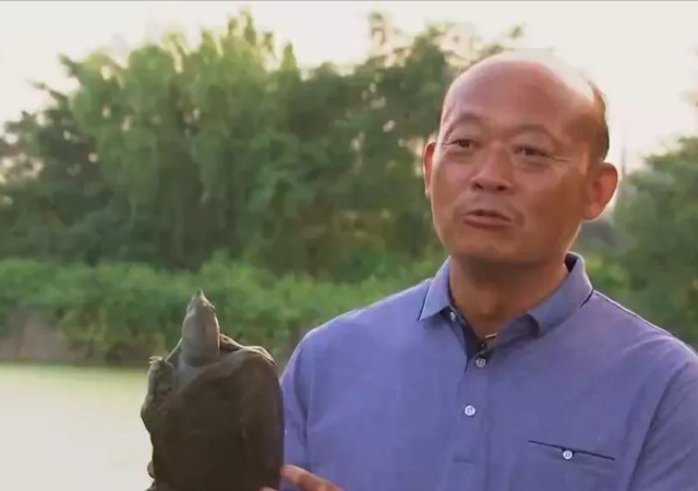 姚志刚：不到两万元入行，养龟鳖绝地翻身，年卖甲鱼达千万元