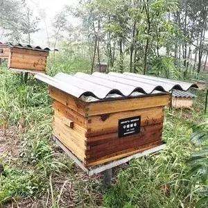 西安蜜蜂养殖(“小蜜蜂的大作用”——西安市打造秦岭中蜂养殖产业脱贫模式)