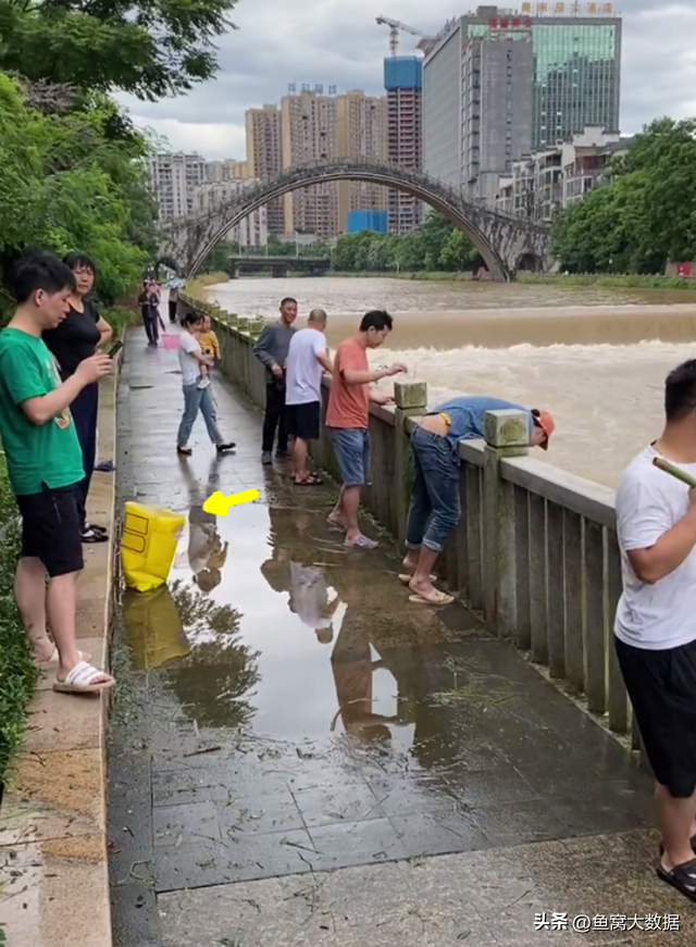 湖南郴州河水猛涨，钓鱼人成桶捞老鼠鱼送人，这种鱼钓鱼人不吃