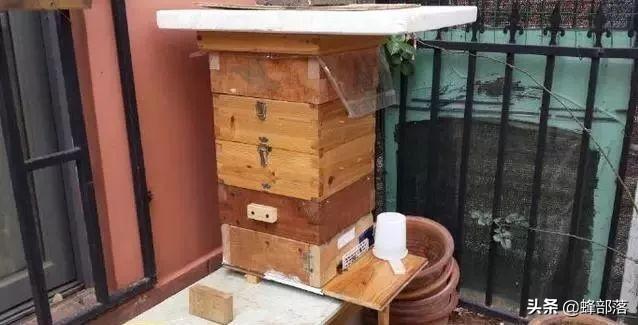 活框箱、格子箱、土养蜂桶，如何制作饲喂器？养蜂人全部告诉你