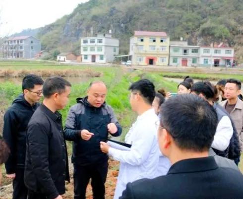 江西萍乡：稻鱼螺 生态养殖 开启致富新路子