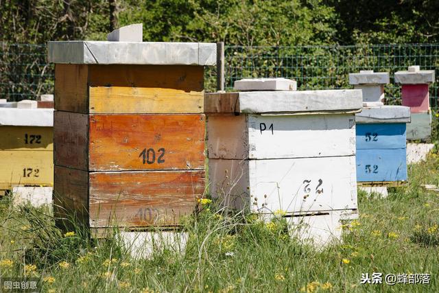 中蜂养殖，适合加继箱吗？用隔王板组成上下双王群合不合适？