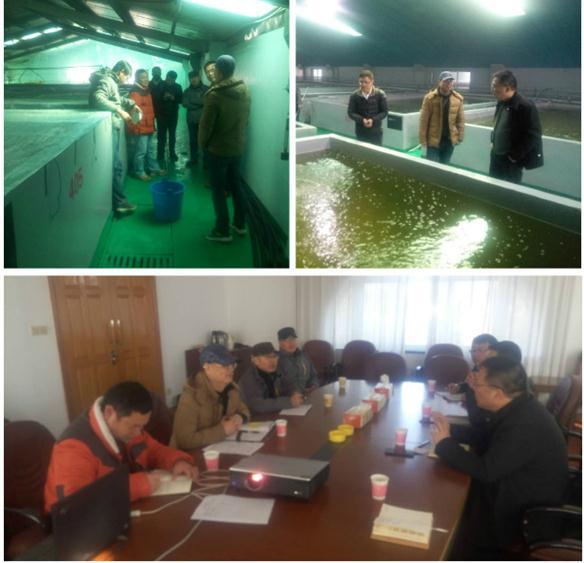 浙江温州市站赴上海学习渔业资源养护经验