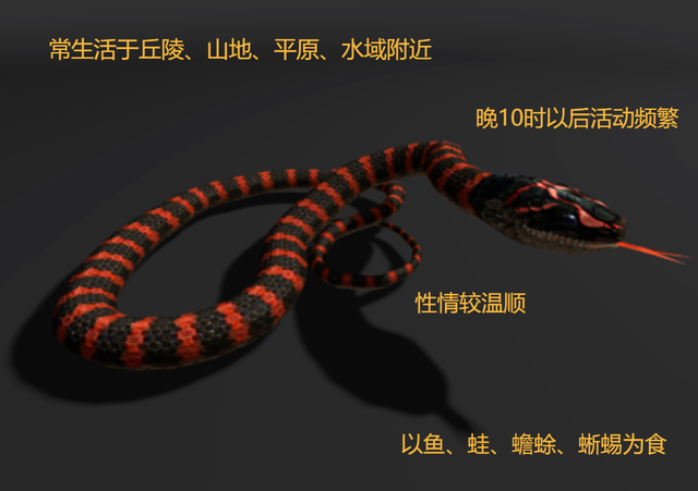 “中国第一蛇村”：300万条蛇与人同吃同住，蛇王靠它年收入千万