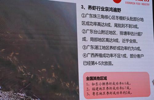 广西2022年上半年对虾养殖技术经验交流会在钦召开：广西养虾损失9成，弧菌成为第一杀手