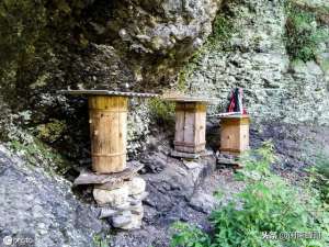 中华蜜蜂养殖方法(中蜂快速发展技术，做好这4点，蜜蜂多到无处安放)