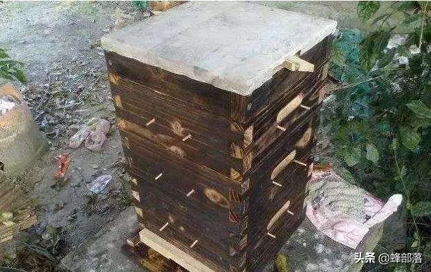 活框箱、格子箱、土养蜂桶，如何制作饲喂器？养蜂人全部告诉你