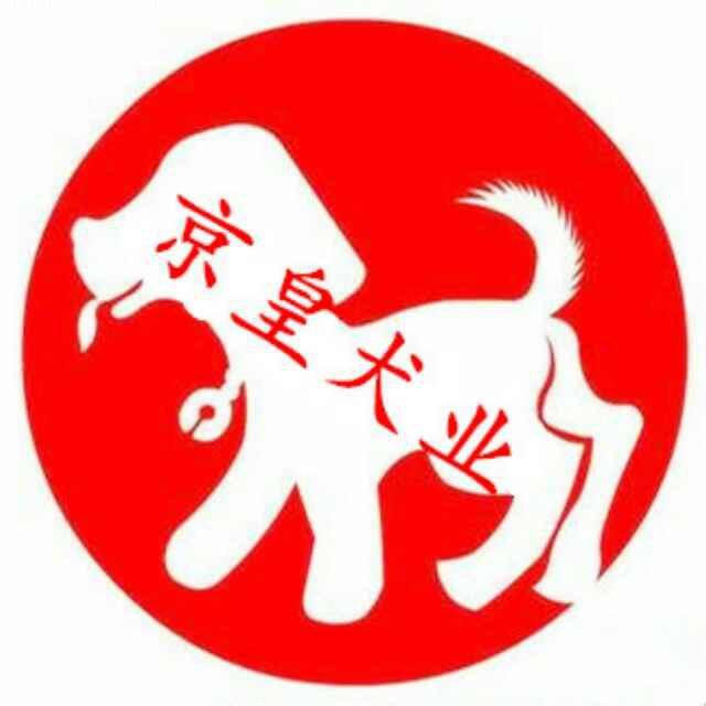 中国宠物行业的冠军犬舍-京皇犬舍