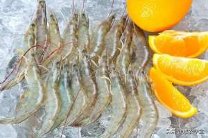 中国养殖虾价格(2023对虾多少钱一斤市场价？全国各地价格一览)