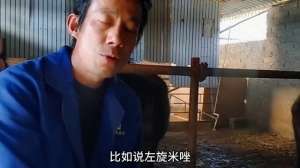 养殖毛驴的视频(毛驴养殖驱虫很重要。#农村创业养殖)