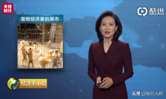 山东济宁一动物救助站被拆，疑因隔壁违规养殖场被曝光后受牵连 