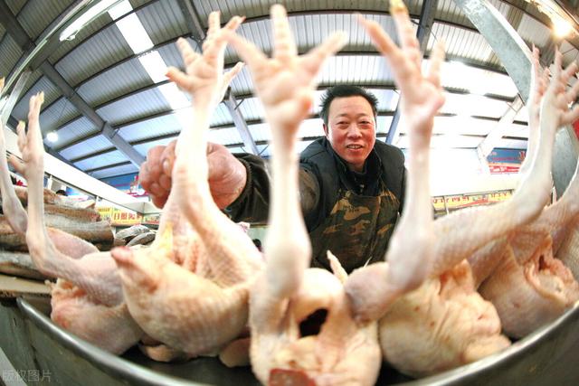好消息：掐住中国肉鸡“主鸡”脖子的手快没劲儿了