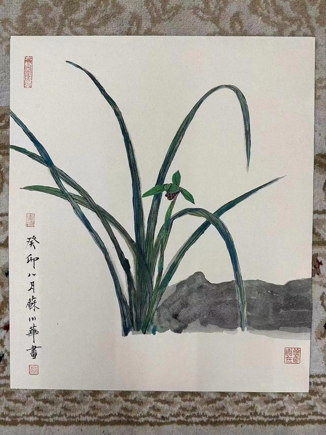 “兰圃兰缘”，广州兰圃将展出苏小华兰花主题画展