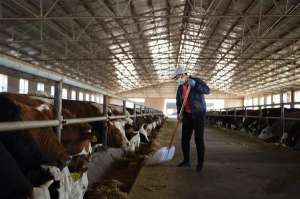 生猪养殖分户指导方案(农业农村部：到2025年我国牛羊肉自给率保持在85%左右)