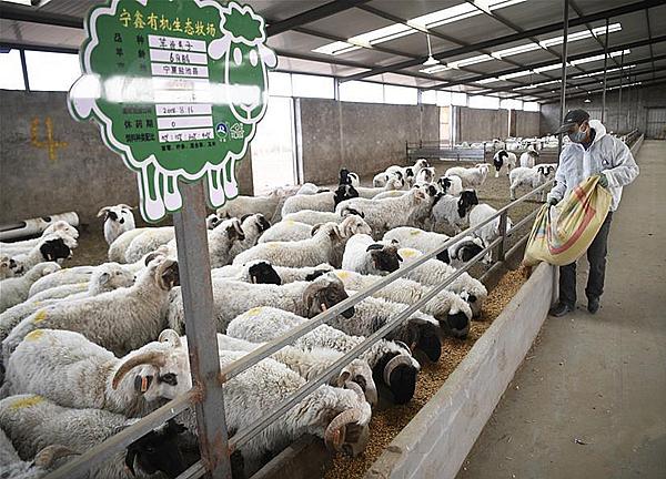 农业农村部：到2025年我国牛羊肉自给率保持在85%左右