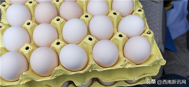 风采展示：南充市嘉陵区顺发蛋鸡养殖专业合作社