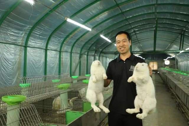 河南小伙返乡养肉兔，辞掉年薪20万的工作，年销售额达到4000多万