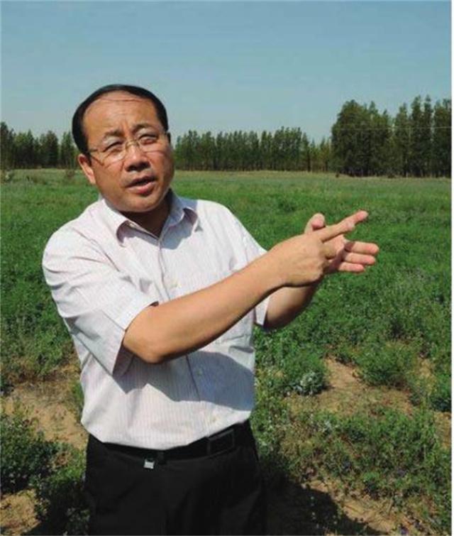 中国将一种兔子赶入沙漠！不仅将沙漠变绿洲，还帮当地人赚大钱？