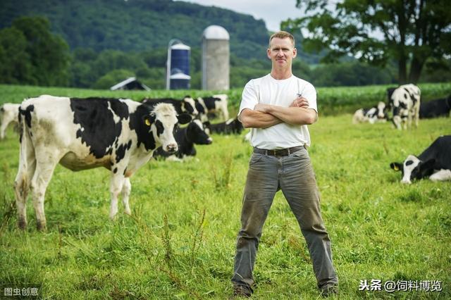 美国奶牛养殖