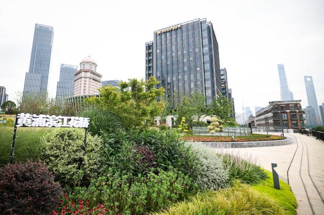 黄浦滨江边冒出一座“悬空花园”，成了新的打卡点