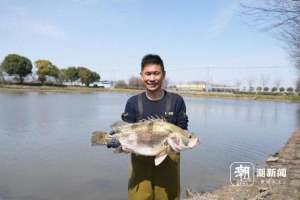 水产养殖生产记录(浙江诞生两项“农业之最”水产养殖新纪录 114斤的鳜鱼和672斤的青鱼夺魁)