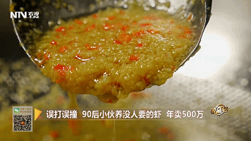 在广东也能养澳洲龙虾！90后年入500万