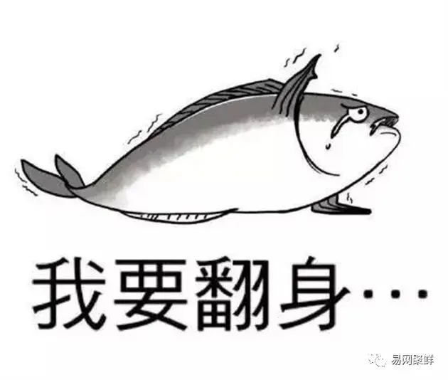在中国“排名第一”的午鱼，是什么鱼？