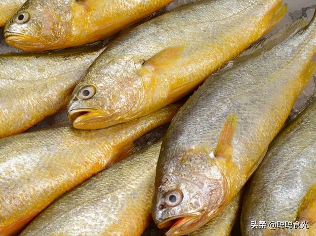 买鱼时，内行人专买这8种野生海鱼，难以人工养殖，看完长知识