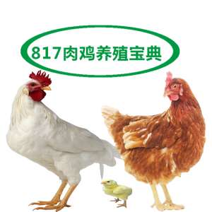 817养殖(817肉鸡生产参数及生产性能表)
