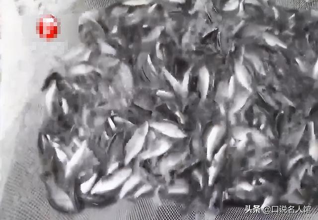 上海奇人：养鱼不换水，种菜不施肥，年入3600万，疫情在家也不愁