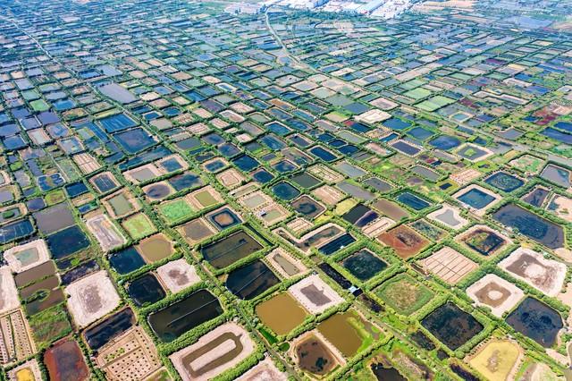 探究中国养殖业的现状与发展