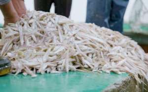 太湖银鱼 养殖(太湖银鱼为各地创收无数，为何“毁誉参半”？到底该不该移植？)