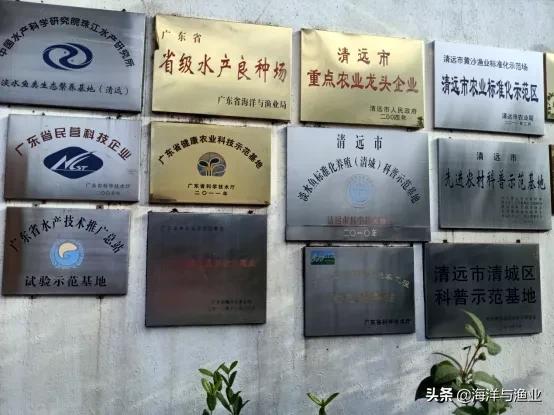 广东省重要的淡水鱼苗生产基地——广东黄沙渔业基地有限公司