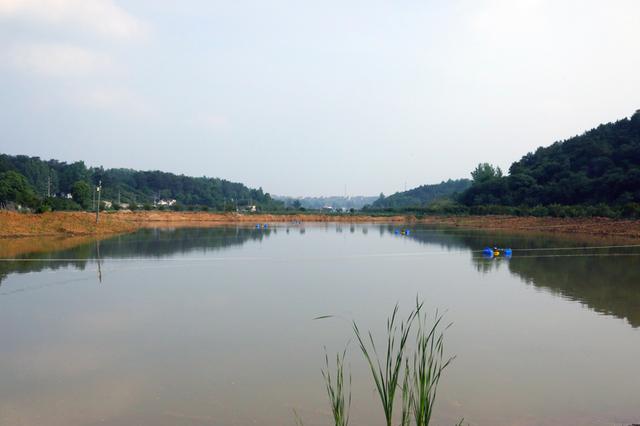中国科学院水生生物研究所援手，宜城打造200亩鲈鱼养殖示范基地