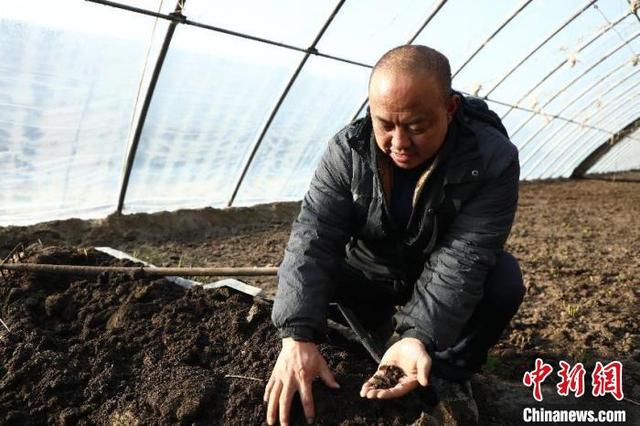 （新春走基层）新疆兵团：蚯蚓养殖展现新“钱”景