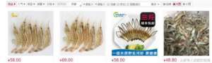 河虾的养殖方法(你真的懂怎么养殖河虾？)