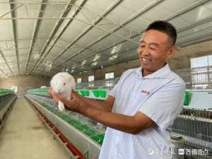 临沂养殖兔子(山东汉子养兔20余年，贵州普定设厂带动20余人就业)