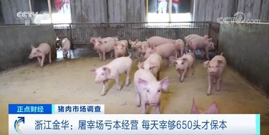 卖一头猪赚2000元，养猪户一年挣五年的钱！屠宰场每天宰够650头才保本