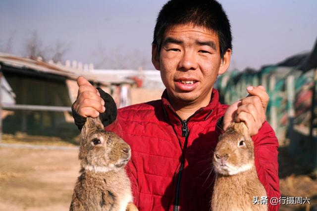 农村小伙买下80只草原兔，在野外散养3年赚35万元，看有啥秘诀