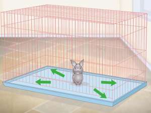 兔子养殖笼子(如何准备兔子笼，给你的兔子一个舒适的窝)