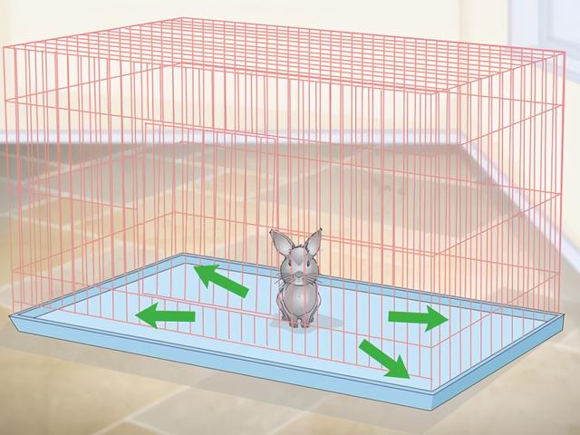 如何准备兔子笼，给你的兔子一个舒适的窝