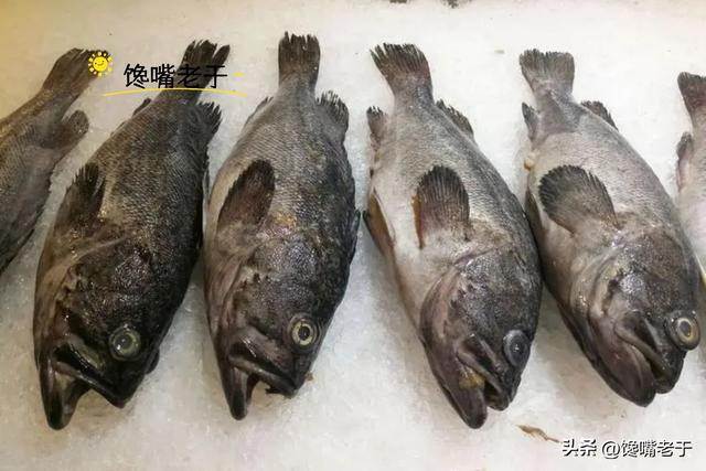 市场这5种鱼，别看不起眼，却无法人工养殖，全是野生的，放心吃