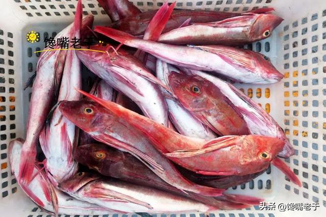 市场这5种鱼，别看不起眼，却无法人工养殖，全是野生的，放心吃